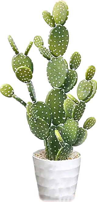 Meric Garden 北歐風格居家裝飾高仿真大型景觀植栽擺設盆栽, 扇型仙人掌 白色 + 綠色, 1個