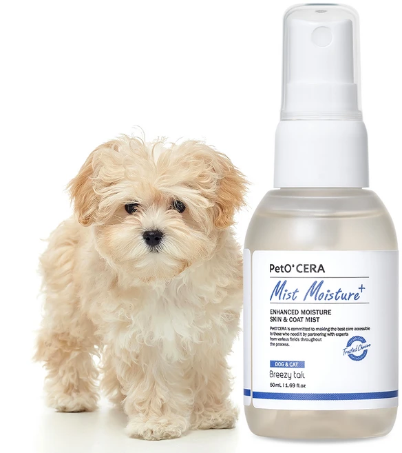 페토세라 강아지 고보습 엉킴방지 저자극 미스트 모이스처 플러스 베이비파우더향, 50ml, 1개입, 1개 - 쿠팡