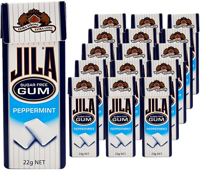 JILA 페퍼민트 껌, 22g, 16개