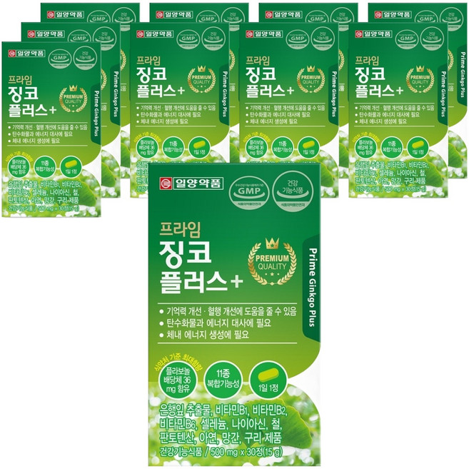 일양약품 프라임 징코 플러스, 30정, 10개
