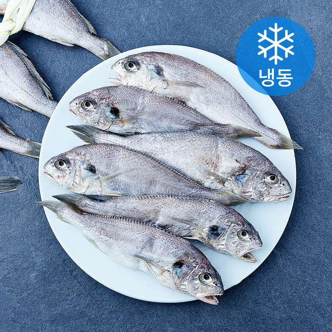 영광 백조기 오가 굴비 10미 (냉동), 1개, 1.2kg