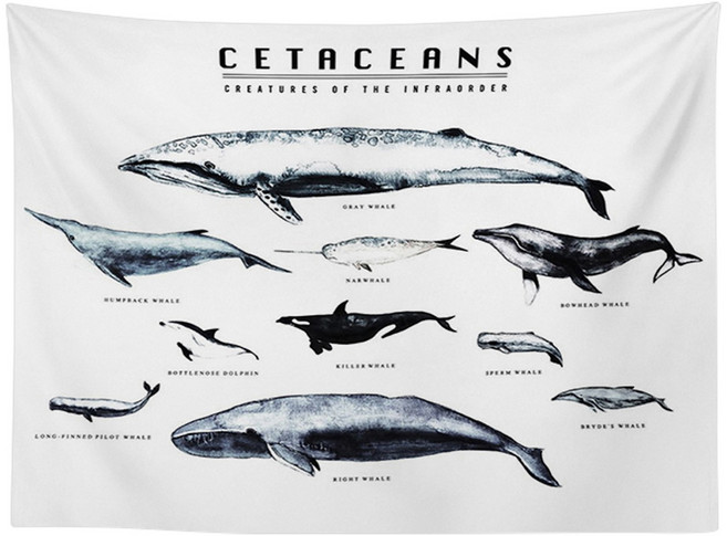 半島良品 居家裝飾掛布, 鯨豚圖 白色 + 藍色