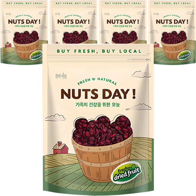 넛츠데이 건크랜베리, 600g, 5개