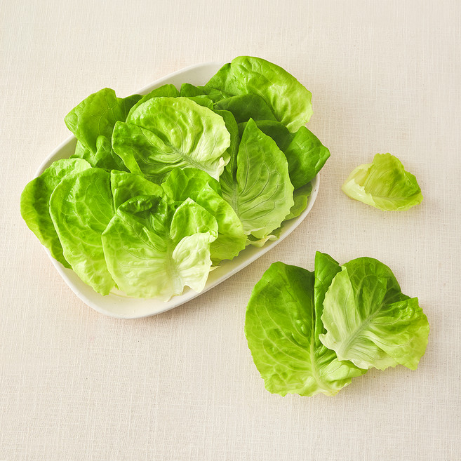 그린래빗 무농약 인증 버터헤드레터스, 100g, 1개