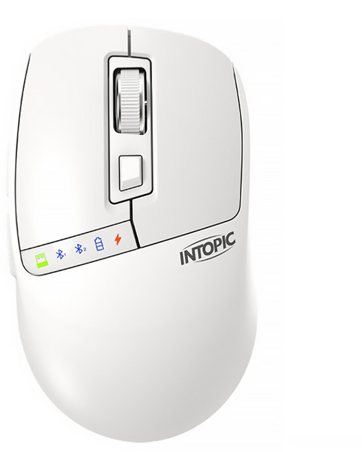 INTOPIC 廣鼎 滑行者無線雙模充電滑鼠, MSW-D170-W, 白色 + 米白色