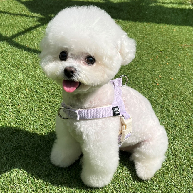 멍템 강아지 앞섬방지 팔레트 하네스, 파스텔 퍼플, 1개