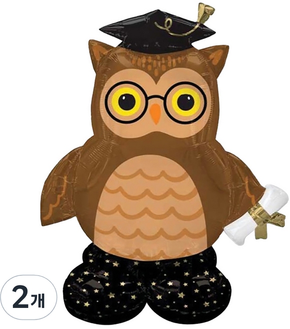 아나그램 은박 스탠딩 에어벌룬 졸업 부엉이, 혼합색상, 2개