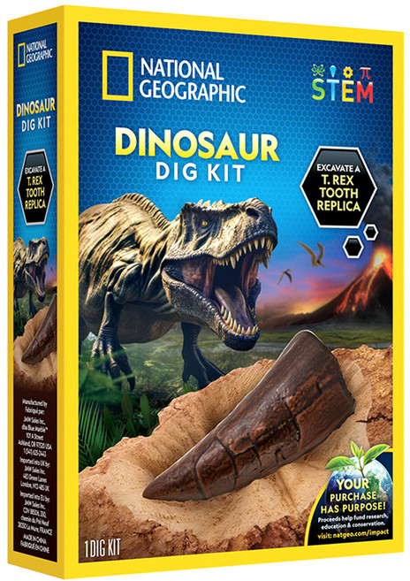 내셔널지오그래픽 공룡이빨 화석 발굴키트, 1개