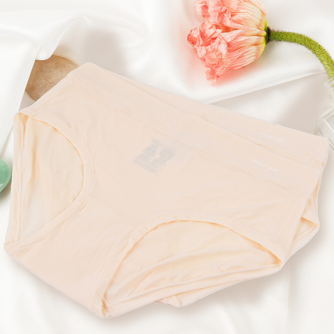 팬톤 여성용 라이트 팬티 2p