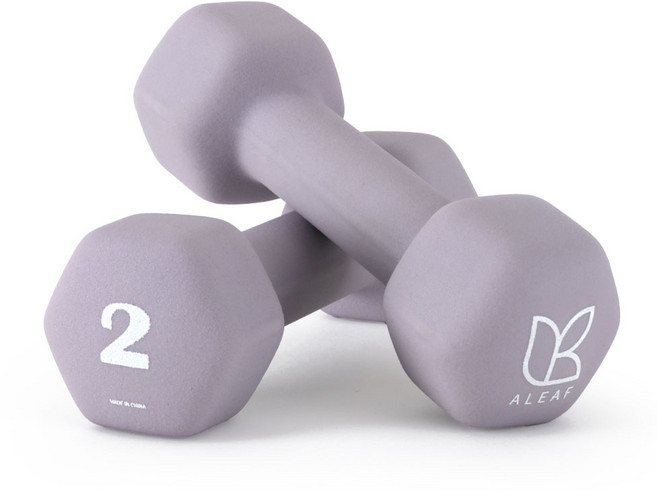 아리프 네오프렌 선인장 아령, 2kg, 2개