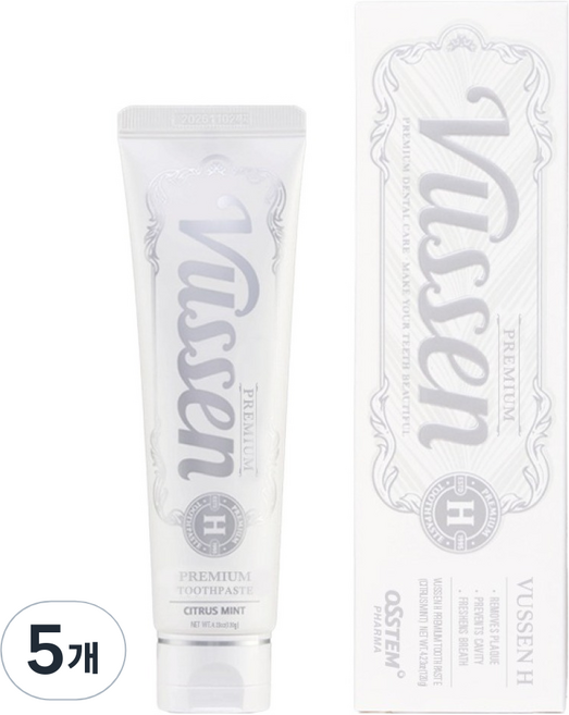오스템파마 뷰센 H 프리미엄 치약, 120g, 5개