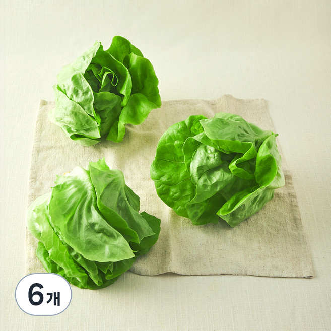 그린래빗 무농약 인증 버터헤드 레터스, 240g, 6개