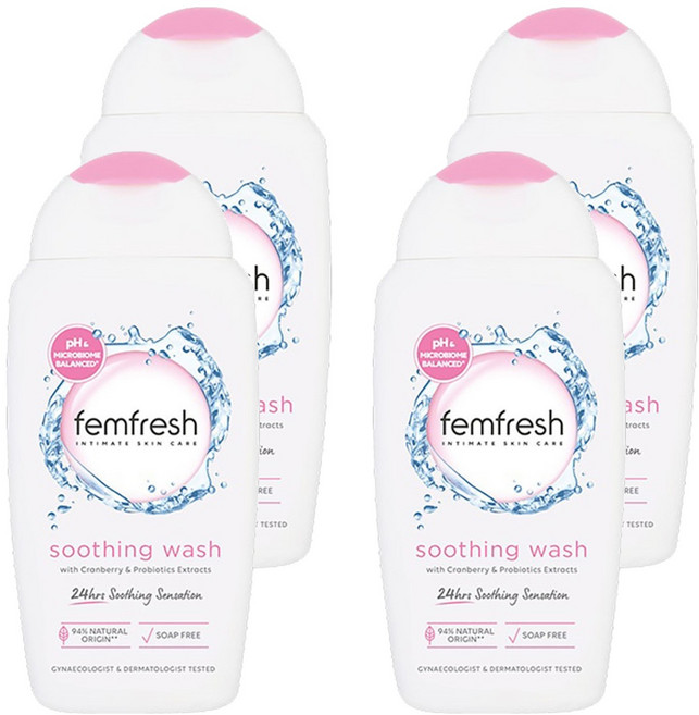 펨프레쉬 수딩워시 데일리 여성청결제, 250ml, 4개
