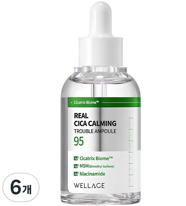 웰라쥬 리얼 시카 카밍 95 트러블 앰플, 50ml, 6개