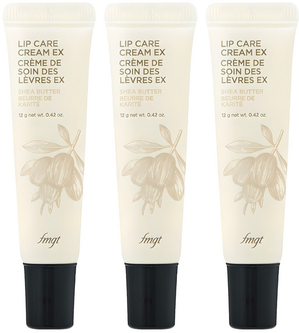 fmgt 립케어 크림, 01 시어버터, 12g, 3개