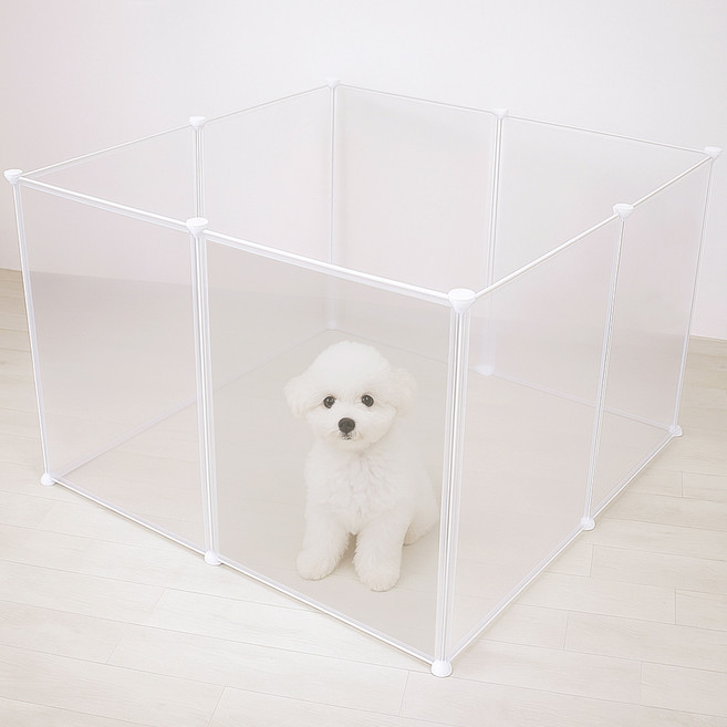 라이프란스 반려동물 투명 울타리 8p, 혼합색상, 1개