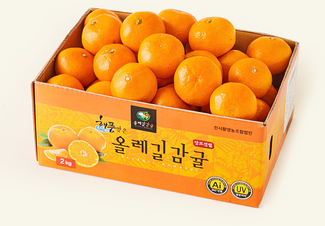 올레길 AI 당도선별 11brix 감귤 로열과, 2kg(로열과), 1개