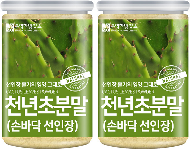 부영한방약초 제주도 손바닥 선인장 천년초 분말, 2개, 200g