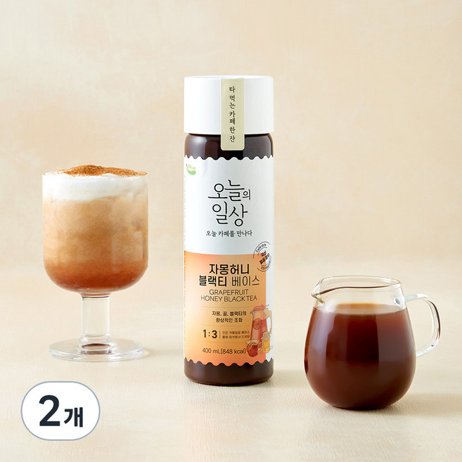 흥국에프엔비 오늘의일상 자몽허니블랙티 베이스, 400ml, 2개