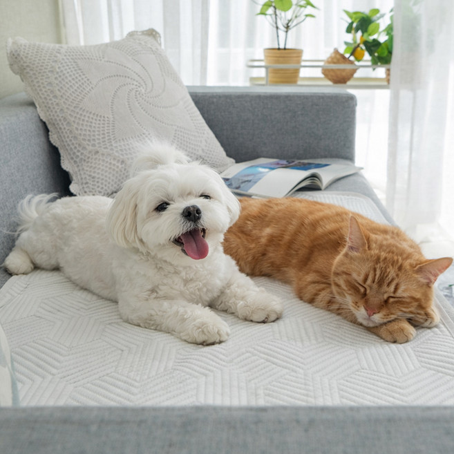 크리벨 반려동물 아추어 듀라론 냉감 쿨매트, 화이트, 2개