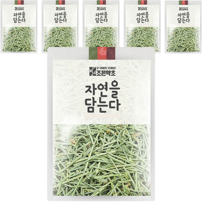 조은약초 솔잎, 400g, 1개입, 6개