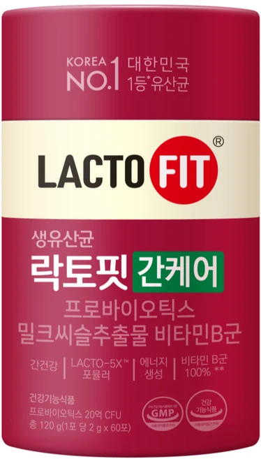 락토핏 간케어 유산균 60p, 120g, 1개 - 쿠팡
