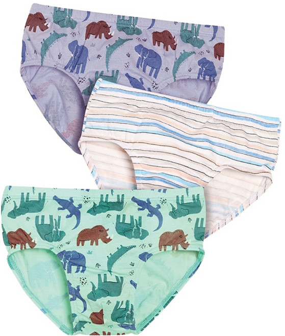 크리켓 트라이 남아용 삼각 팬티 3종 세트 CBPDG03