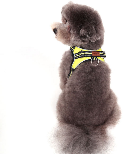 딩동펫 강아지 옥스포드 하네스, 그린, 1개