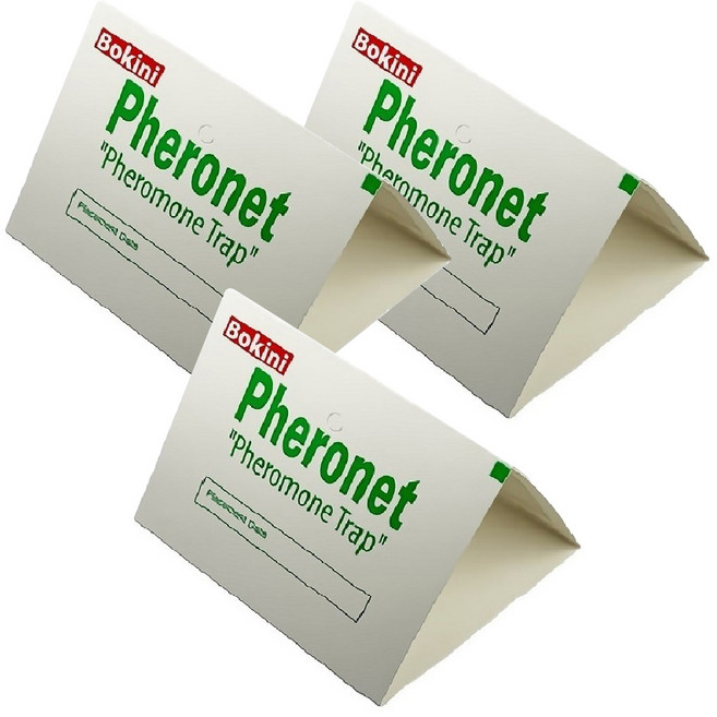 보키니 화랑곡나방 권연벌레 페로몬 트랩 중, 3개