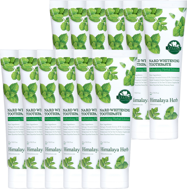 나드 미백 치약, 100g, 12개
