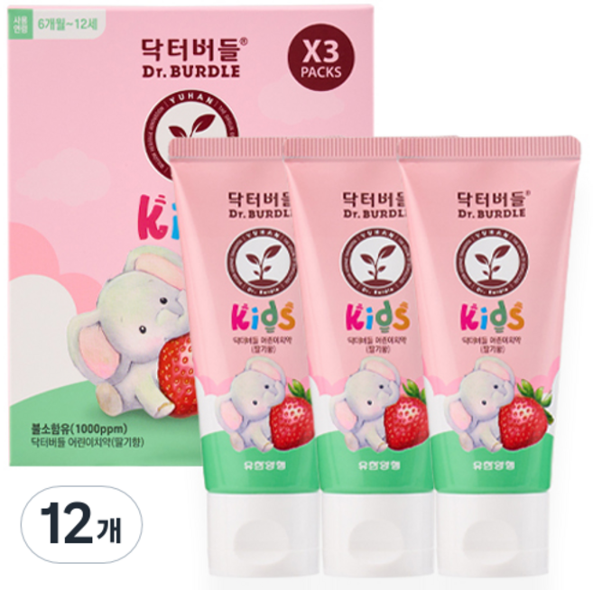 닥터버들 불소함유 어린이 치약 딸기향, 60ml, 12개