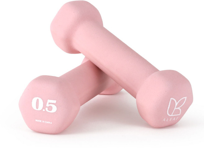 아리프 네오프렌 선인장 아령, 500g, 2개