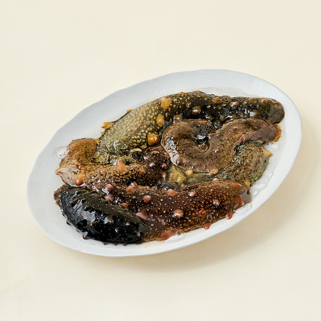 남해안 산지직송 자연산 생물 해삼 (냉장), 1kg, 1개