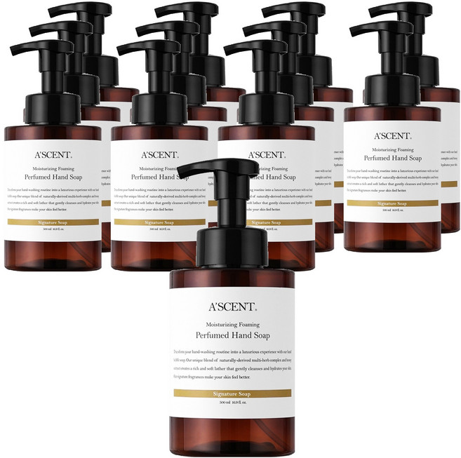 에이센트 퍼퓸드 버블 핸드워시 시그니처솝, 12개, 500ml