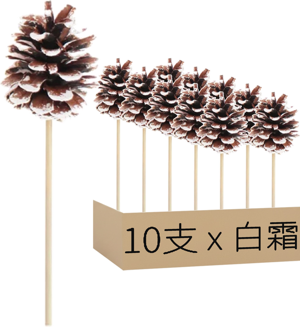 一般松果枝條 2~4cm 10支, 白霜
