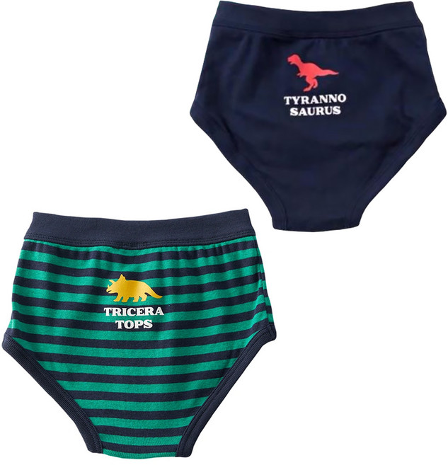 Bebehome 兒童純棉透氣親膚三角內褲2件組, 恐龍圖案, 1組