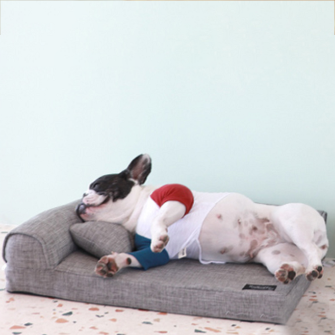 레드퍼피 페트 범퍼 반려동물 사각방석, 퓨터그레이, 1개