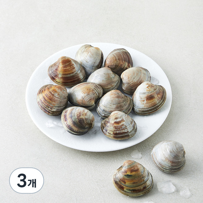 생물 백합조개, 3개, 600g