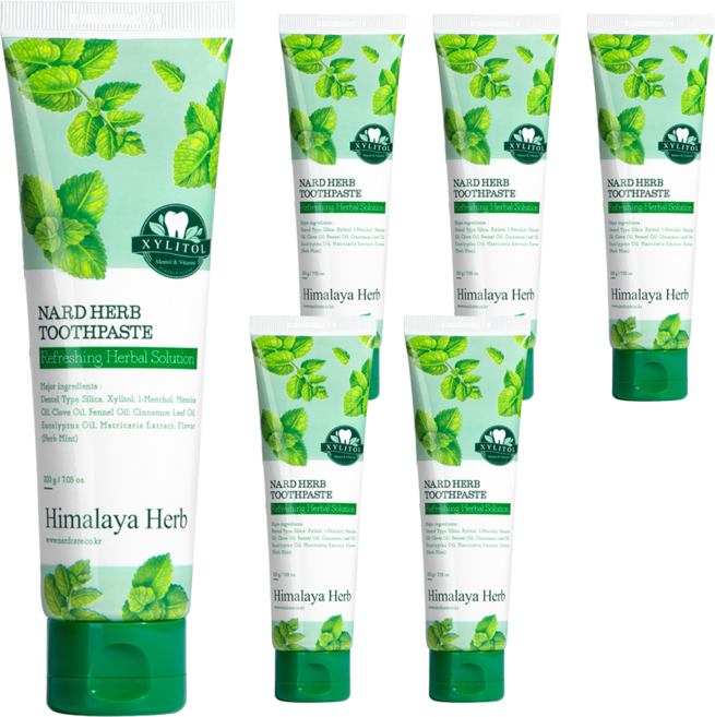 부케가르니 나드 구취케어 치약, 200g, 6개