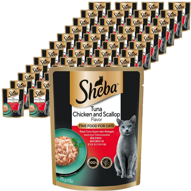 쉬바 고양이 주식 파우치, 닭+참치, 70g, 48개