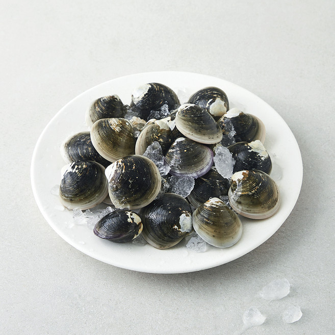 국산 모시조개, 500g, 1팩