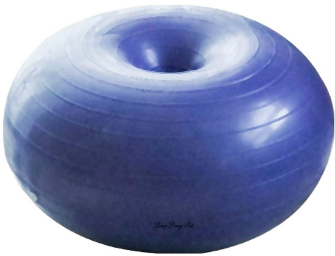 딩동펫 강아지 슬개골탈구예방 짐볼, 퍼플, 1개