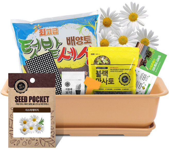 월드가드닝 베란다 채소키우기 텃밭세트 9종 커피컬러, 야생화-샤스타데이지