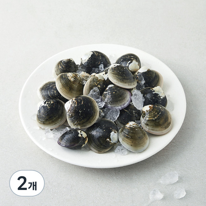 국산 모시조개, 500g, 2팩