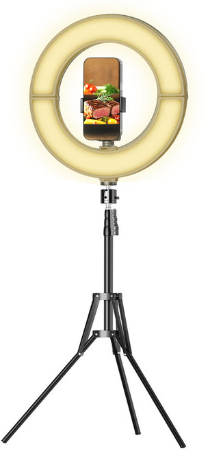 조이트론 RGB 링라이트 접이식 조명 30cm + 스마트폰 홀더 삼각대 세트, 1세트, LD50F