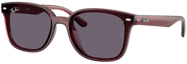 Ray-Ban 雷朋 膠框太陽眼鏡 RB4461D-659373