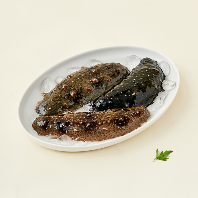 남해안 산지직송 자연산 생물 해삼 (냉장), 500g, 1개