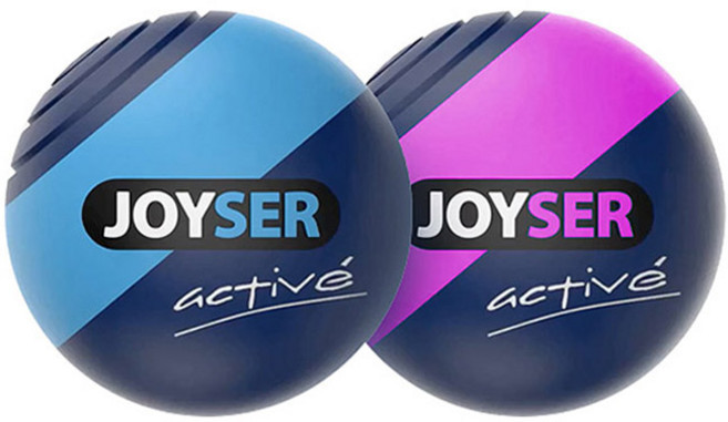 조이서 독 볼 액티브 2개입, 혼합색상, 1개