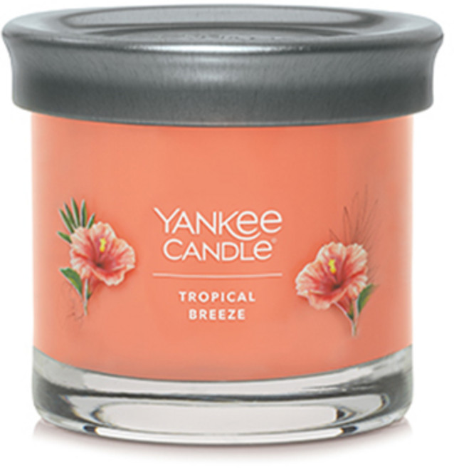 양키캔들 시그니처 텀블러 S, 트로피컬브리즈, 122g, 1개