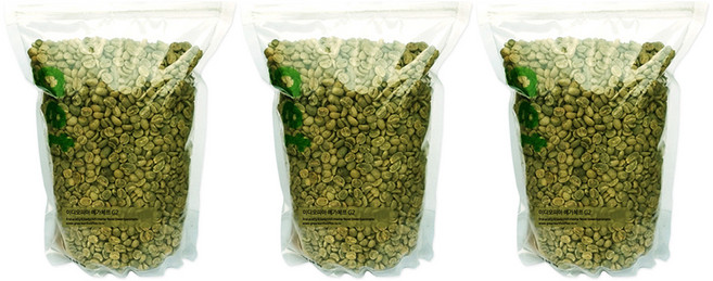 그린어쓰 이디오피아 예가체프 G2, 1kg, 3개